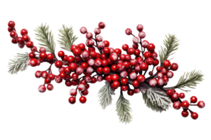 Pine branch with berries isolated png