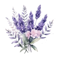 Watercolor lavender background png