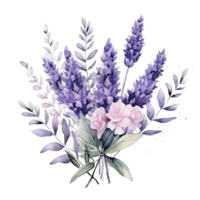 waterverf lavendel achtergrond png