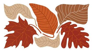 resumen Arte otoño antecedentes vector. botánico otoño temporada mano dibujado modelo diseño con roble, arce hojas. sencillo contemporáneo estilo ilustrado diseño para tela, imprimir, cubrir, bandera, fondo de pantalla. vector