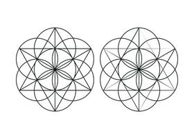 Seven overlapping circles, form the basic shape to create a hexagram. vector