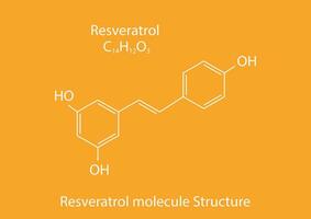 Resveratrol molecule skeletal formula. Believed to have a number of positive health effects. Vector illustration.