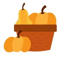 Pumpkins in a wicker basket. Autumn harvest. Vector flat illustration.