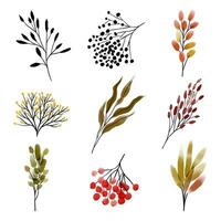 Set with watercolor autumn branches, leaves and berries isolated on white background vector