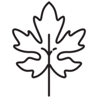 Maple Autumn Flora Outline 2D Illustration png