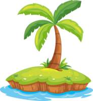 sea islands palm tree png