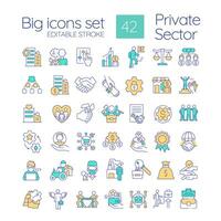 Private sector of economics RGB color icons set. Business ownership type. Development of entrepreneurship. Isolated vector illustrations. Simple filled line drawings collection. Editable stroke