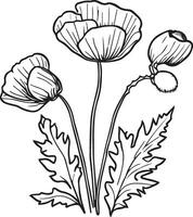 Froral arrangement line art collection, Advanced Flower Coloring Page, Beautiful poppy flower wall art, poppy flower vector, pretty flower coloring pages,  poppy flowers coloring sheet, vector