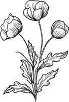 Single line drawing of beauty fresh poppy for home wall art decor. Printable poster decorative sword poppy flowers concept. Modern line drawing poppy flower design vector illustration