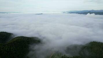 lapso de tiempo aéreo ver de el arboles en el Valle con niebla en el Mañana. paisaje de brumoso Valle y montaña nubes en tailandia el amanecer de el montañas con el mar de neblina. video