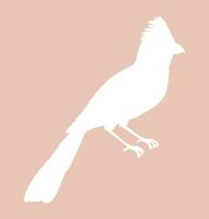 Northern Cardinal bird icon silhouette. Cute small Bird icon isolated on a background. Vector illustration for print, web or nature design.