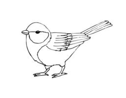 Vector hand drawn sketch black bird