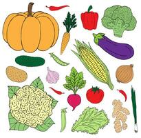 Vector hand drawn set of colored vegetable