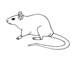 Vector hand drawn sketch rat mouse