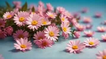 daisy flowers with light blue paper background good for multimedia digital content creation, artistic background photo