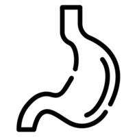 stomach line icon vector