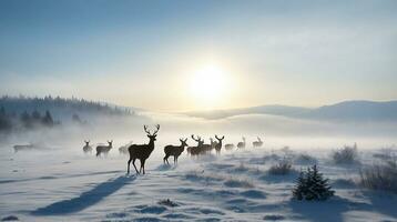 hermosa frío Mañana invierno nieve antecedentes con arboles bosque y montaña en el fondo, suavemente nieve ver en contra el azul cielo, gratis espacio para tu decoración foto