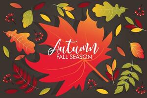 Autumn background with falling leaves frame vector