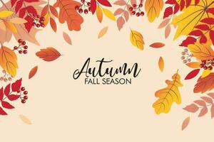 Autumn background with leaves of autumn vector