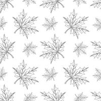 Seamless pattern, contour maple leaves on a white background. Print, background, textile, vector