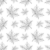 Seamless pattern, contour maple leaves on a white background. Print, background, textile, vector