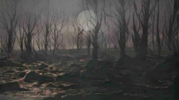 Grey-Grim Forest with Twisted Trees and Foreboding Skies video