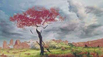 il cremisi albero in mezzo un' deserto paesaggio, con buio nuvole nel il cielo, un' onirico vista video