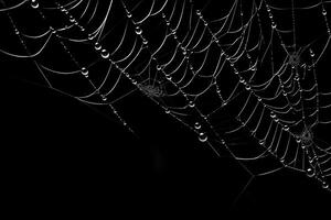 telaraña con oscuro fondo, araña web con agua gotas, ai generado foto