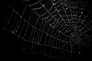 telaraña con oscuro fondo, telaraña con agua gotas, ai generado foto