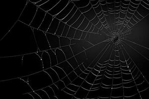 spiderweb overlay, ai generated photo