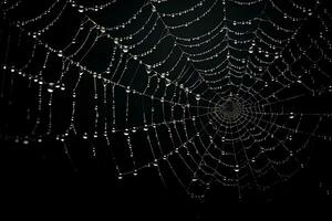 spiderweb dark background overlay, cobweb with water drops, ai generated photo