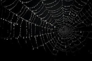 spiderweb dark background overlay, cobweb with water drops, ai generated photo