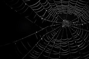 telaraña cubrir oscuro fondo, araña web diseño elemento, ai generado foto