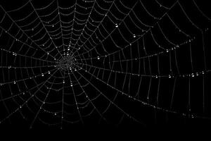 spiderweb with dark background overlay, white spiderweb, ai generated photo