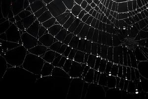 spiderweb overlay black background, decorative cobweb element, ai generated photo