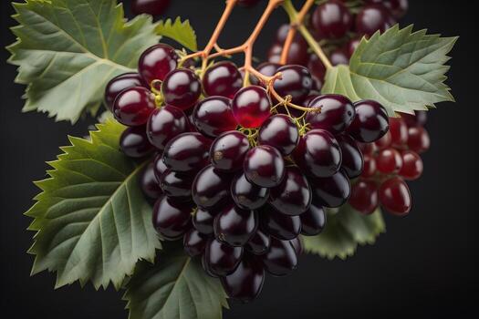 bunch of grapes, shallow depth of field. ai generative photo