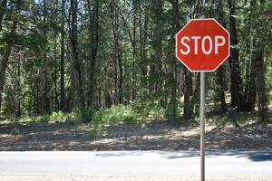 Stop sign in forest photo