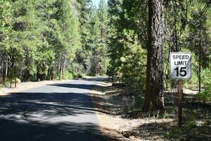 Speed Limit sign 15 in forest photo