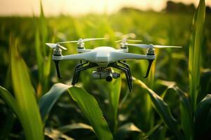 zumbido quadcopter con digital cámara volador terminado maíz campo. agricultura zumbido supervisión verde maíz campo, ai generado foto