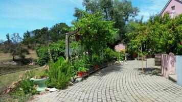 magnifique métrage de moderne maisons jardin et pelouse à porto campagne de le Portugal. le métrage a été capturé avec drone caméra sur juillet 10e, 2023 video