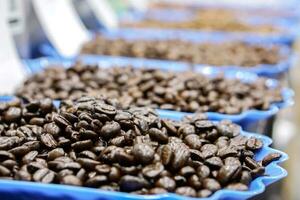 Various types of roasted coffee beans in blue tray. photo