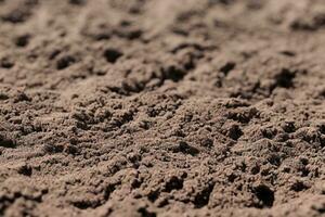 Close-up of fertile loam for the background photo