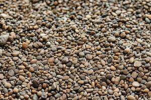 Smooth round pebbles texture background. Pebble sea beach close-up, dark wet pebble and gray dry pebble photo