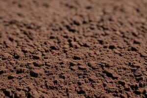 Brown ground surface. Close up natural background photo