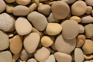 abstract background with dry round reeble stones photo