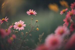 Pink daisy flower in the meadow, vintage color tone. generative ai photo