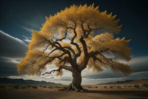 Fantasy Silhouette of a tree in the desert. ai generative photo