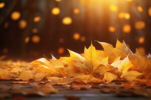 Autumn leaves background photo