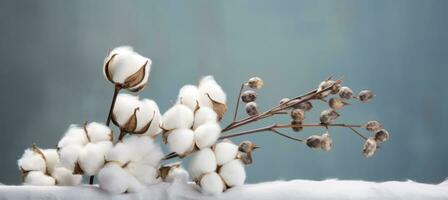 Blue minimalist background with cotton pods photo