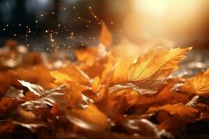 Autumn falling leaves background photo